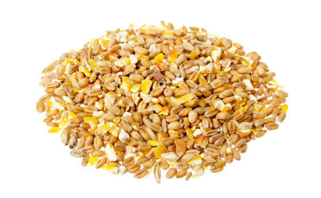 cerealgrain Asian Proteins