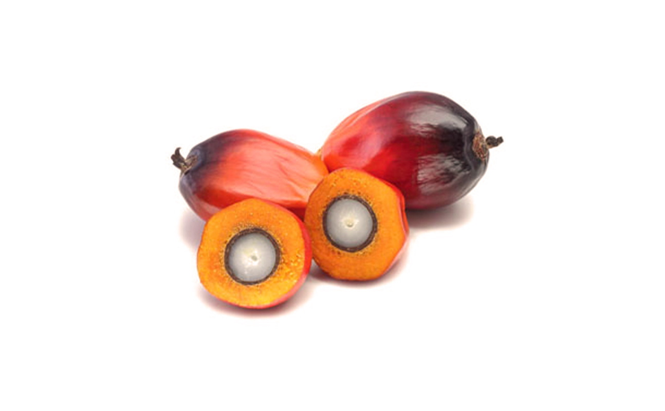 Palm Kernel Meals Asian Proteins